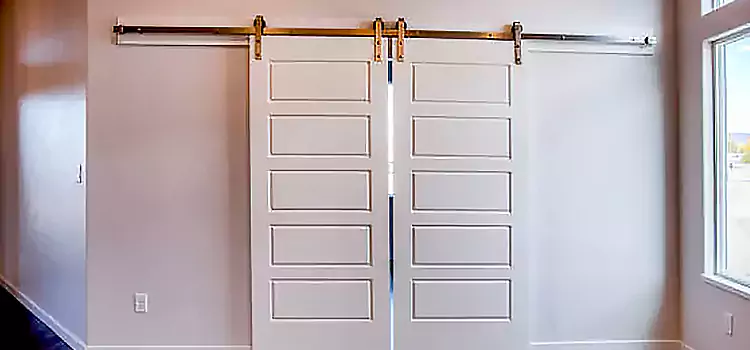 Glass Barn Door with Installation Hardware Kit Coon Rapids